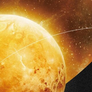 金星 主視覺